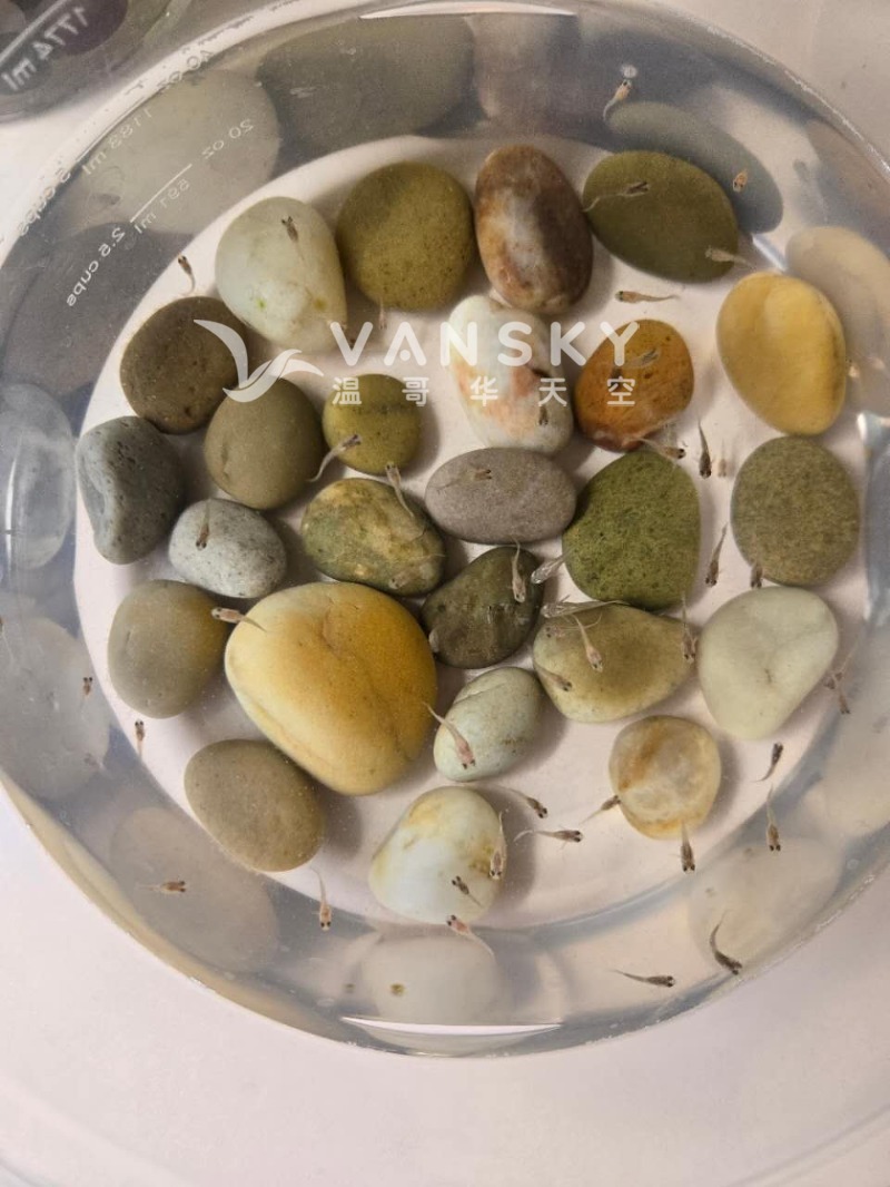 250928073558_New born.jpg